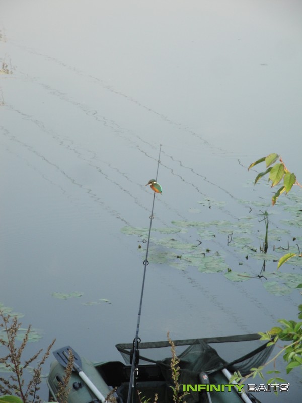 článek Podzimní trápení Infinity Baits