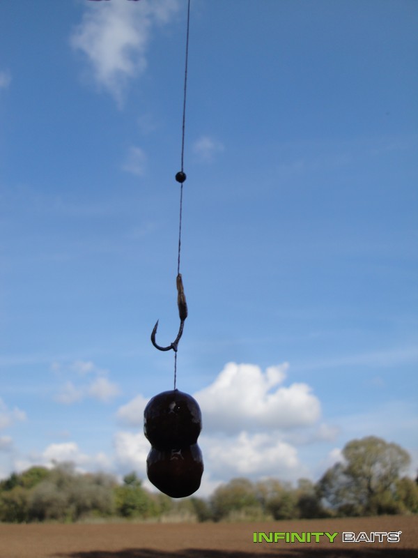 článek Podzimní trápení Infinity Baits