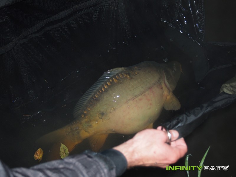 článek Podzimní trápení Infinity Baits