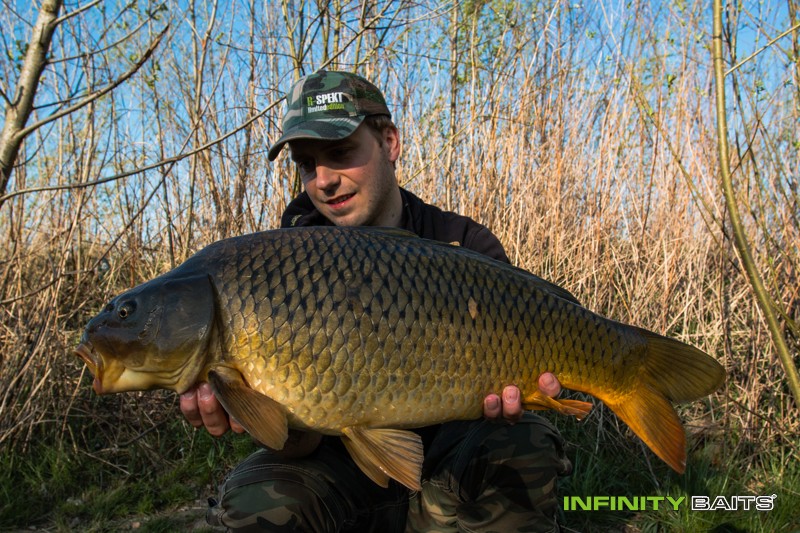 článek 26 hodin snů Infinity Baits