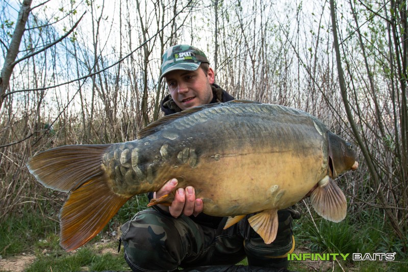 článek 26 hodin snů Infinity Baits