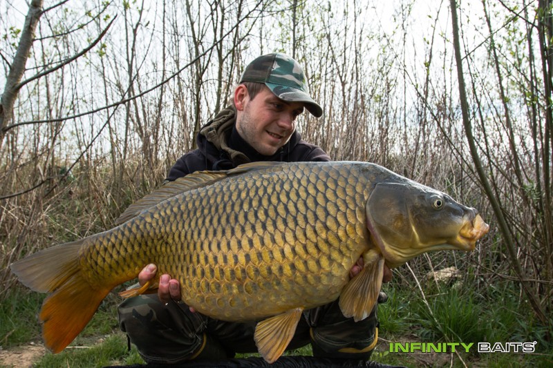 článek 26 hodin snů Infinity Baits