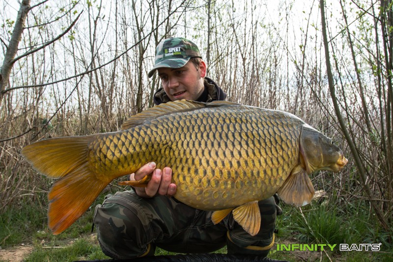 článek 26 hodin snů Infinity Baits