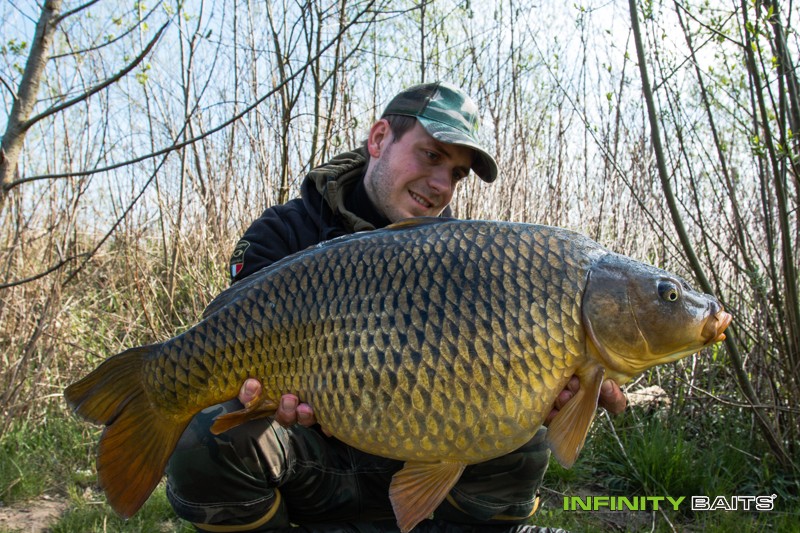 článek 26 hodin snů Infinity Baits