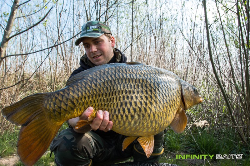 článek 26 hodin snů Infinity Baits