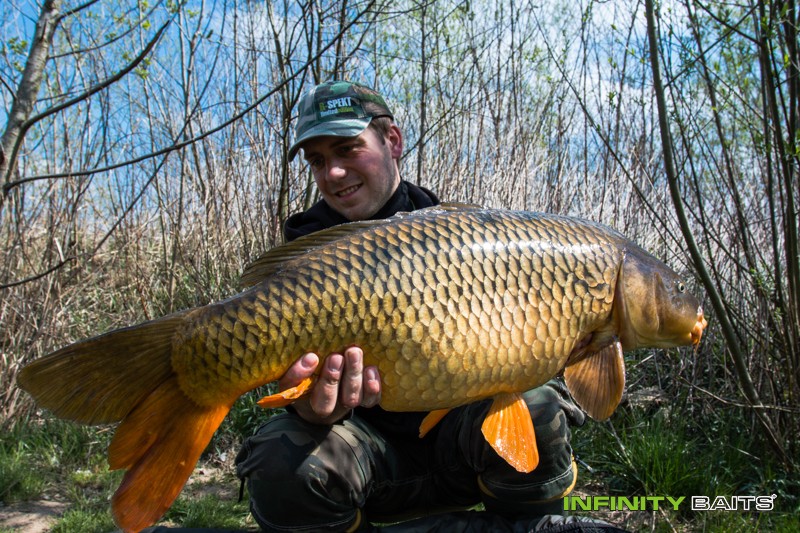 článek 26 hodin snů Infinity Baits