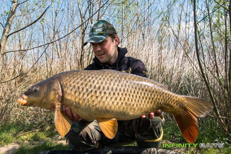 článek 26 hodin snů Infinity Baits