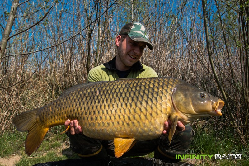 článek 26 hodin snů Infinity Baits