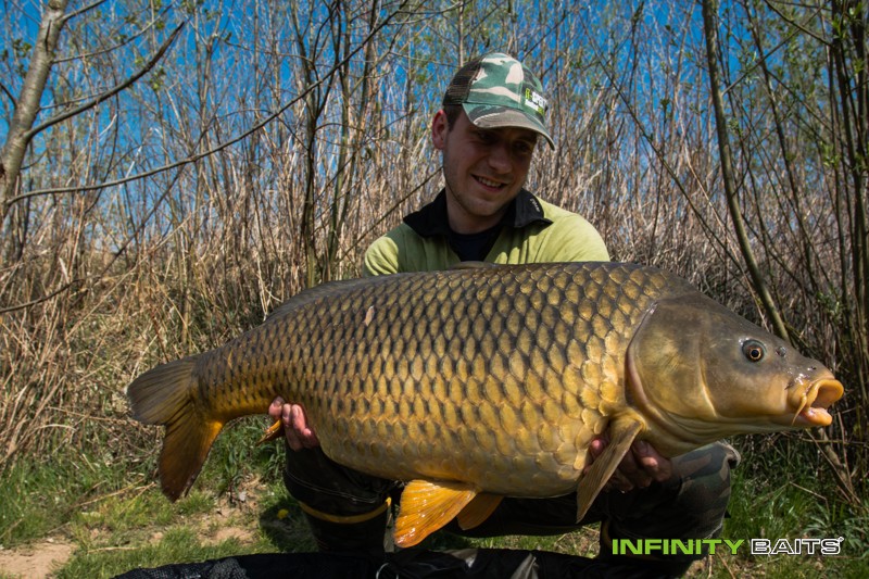 článek 26 hodin snů Infinity Baits