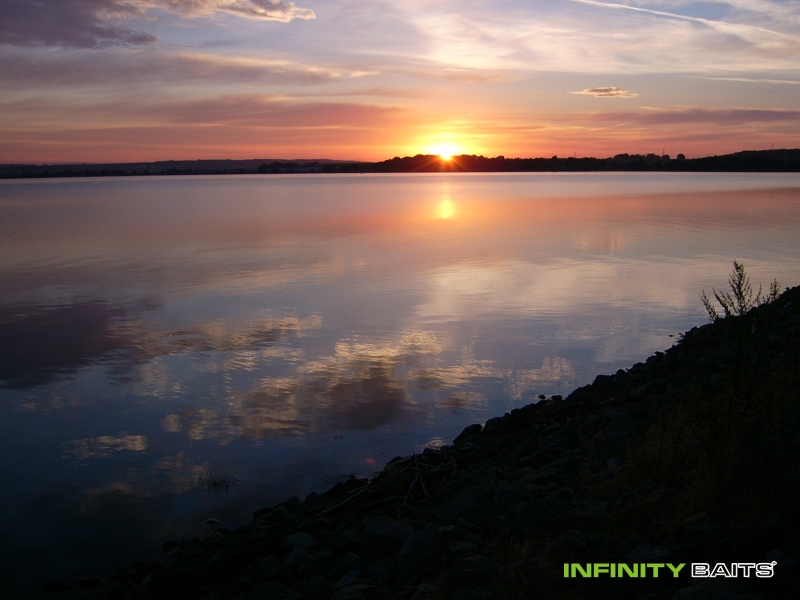 Článek V zajetí sláviček Infinity Baits