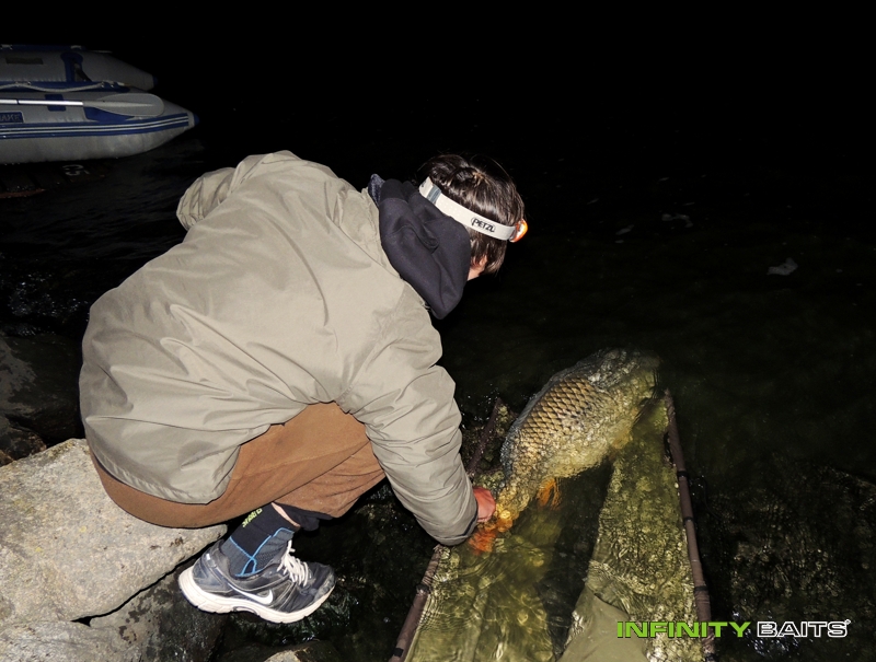 Článek Podzimní sklizeň Infinity Baits