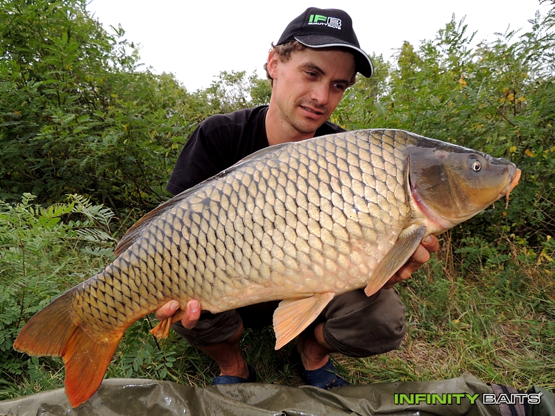 Článek Srpnové tažení Infinity Baits
