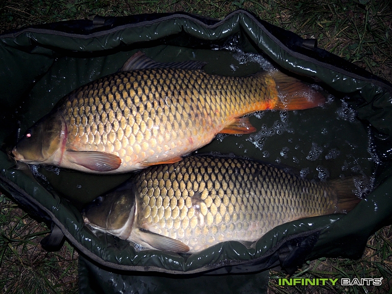Článek Srpnové tažení Infinity Baits