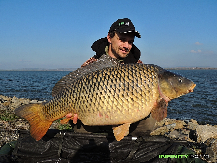 Článek Kouzlo poslední noci Infinity Baits