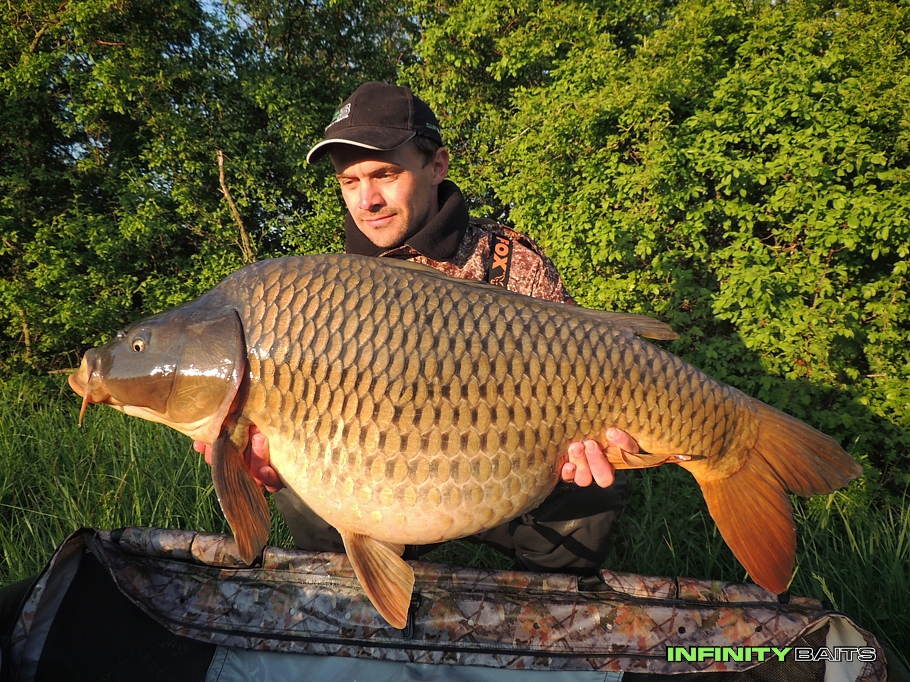 článek Jarní krasavci Infinity Baits