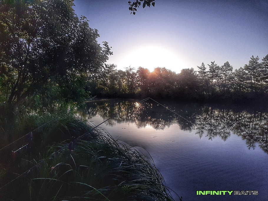 Článek Říční kapři Infinity baits