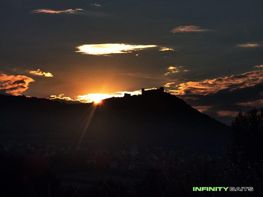 článek Prázdninoví kapři Infinity baits