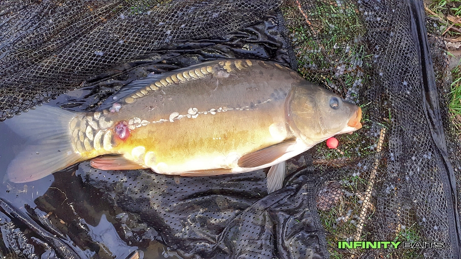 článek Jarní tažení Infinity Baits