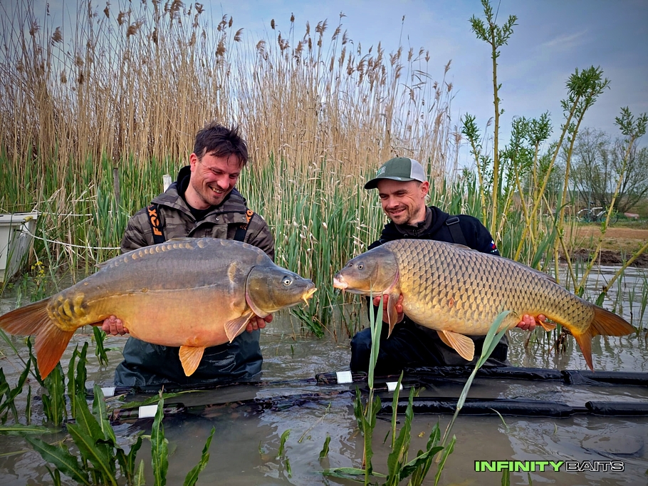 článek IBCC 2023 - Balatonská jízda Infinity Baits