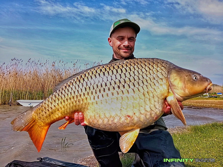 článek IBCC 2023 - Balatonská jízda Infinity Baits