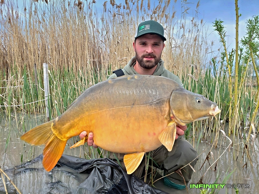 článek IBCC 2023 - Balatonská jízda Infinity Baits