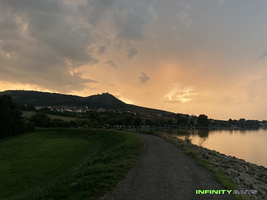 článek Trpělivost růže přináší Infinity Baits