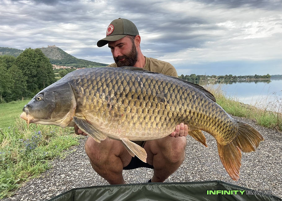 článek Trpělivost růže přináší Infinity Baits