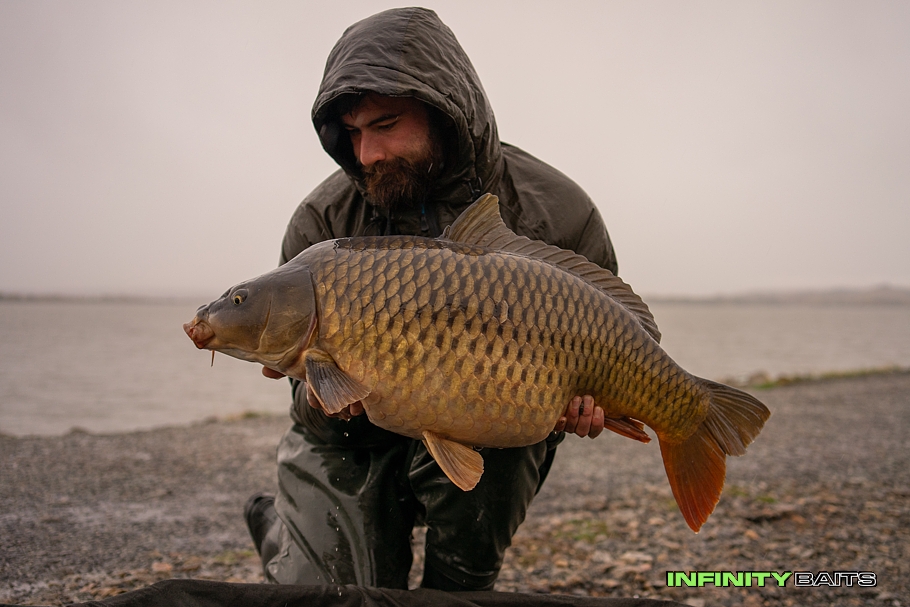 článek Podzimní odveta Infinity Baits