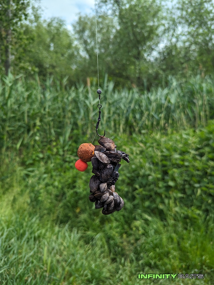 článek Jarní výprava pod Pálavské kopce Infinity Baits