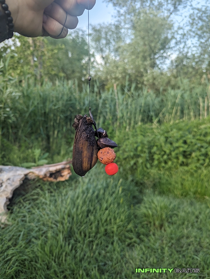 článek Jarní výprava pod Pálavské kopce Infinity Baits