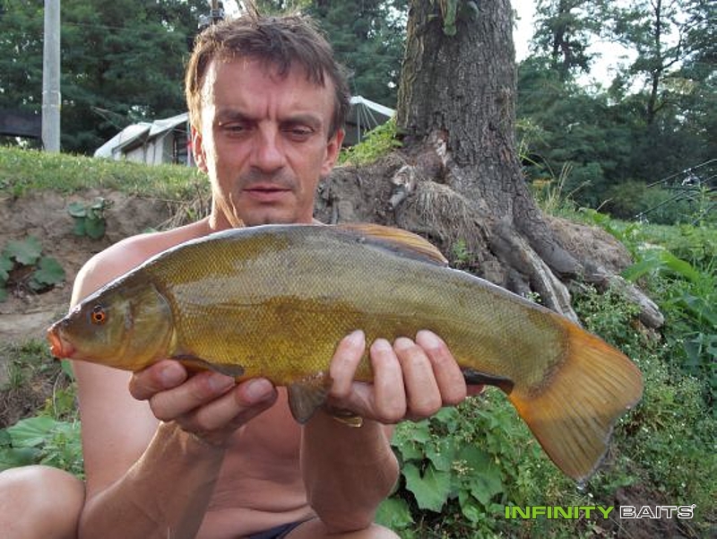 Kliknutím otevřete Tovačov Infinity Baits