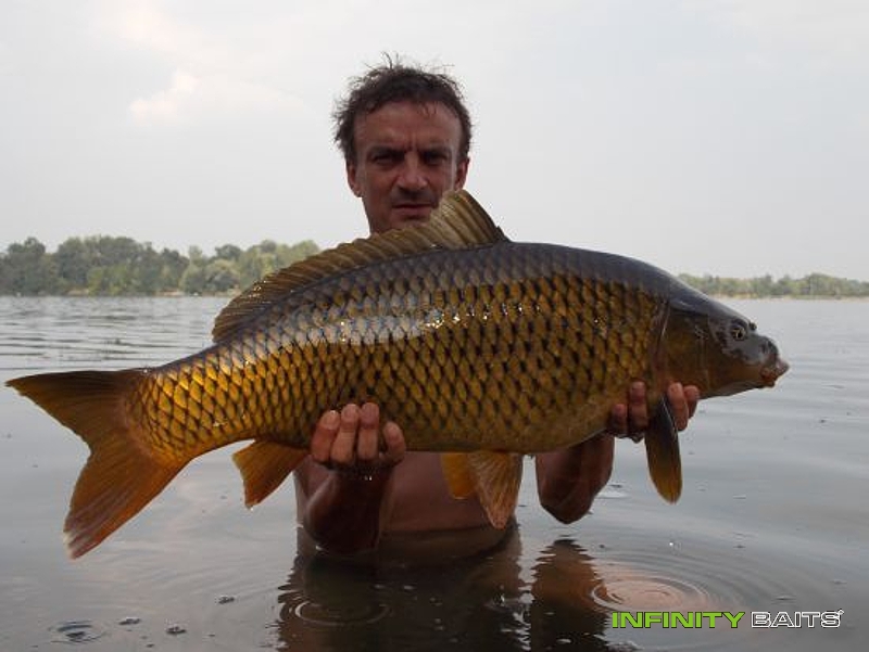Kliknutím otevřete Tovačov Infinity Baits