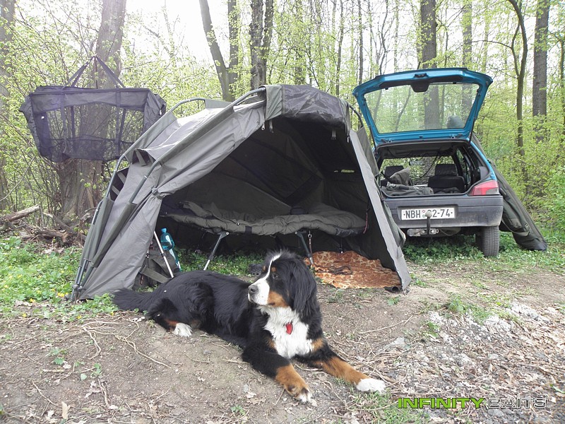 report Stinkojízda pokračuje