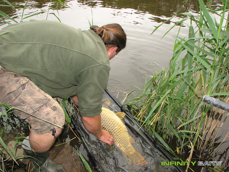 report Testovaný Pinky Infinity Baits