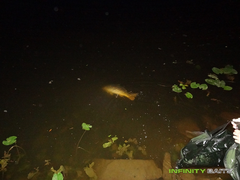 report Pár hodin na Labi Infinity Baits