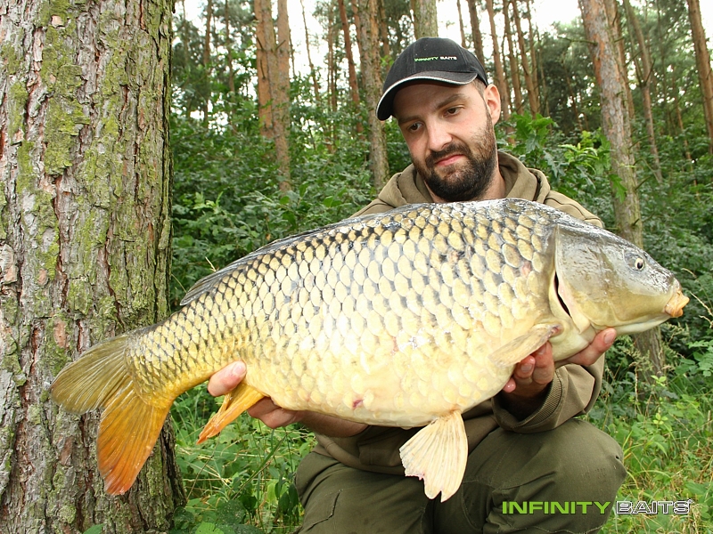 report Pololetí Infinity Baits