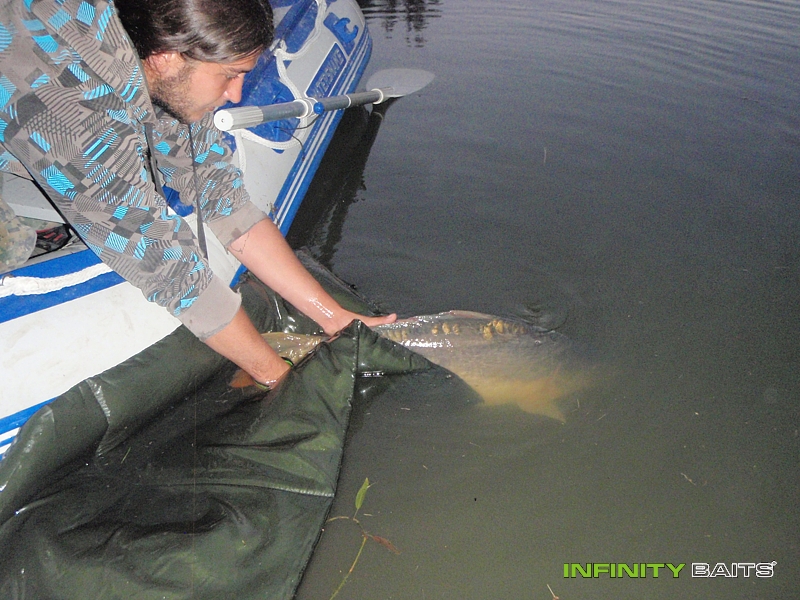 report Slamon nebo Stinky Infinity Baits