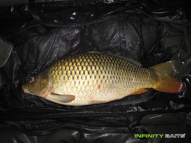 report Víkend s N1 Infinity Baits