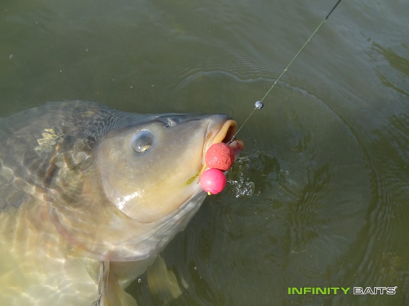 report Výprava na písák II. Infinity Baits