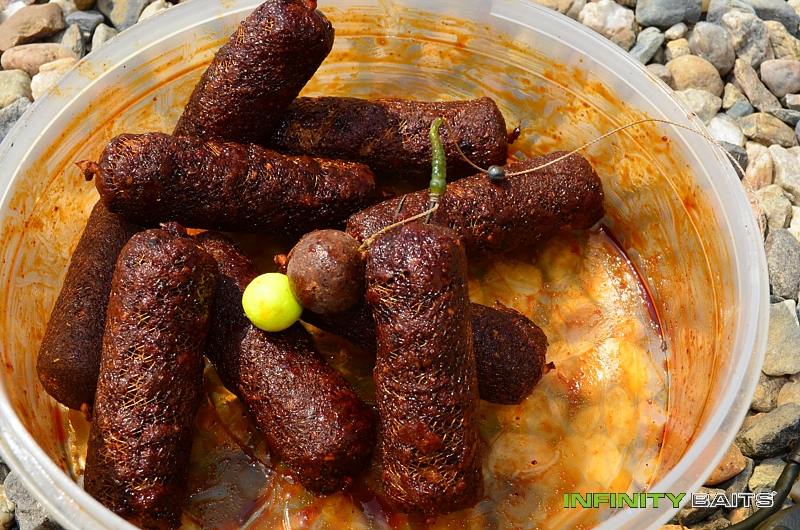 report Cesta plná očekávání Infinity Baits