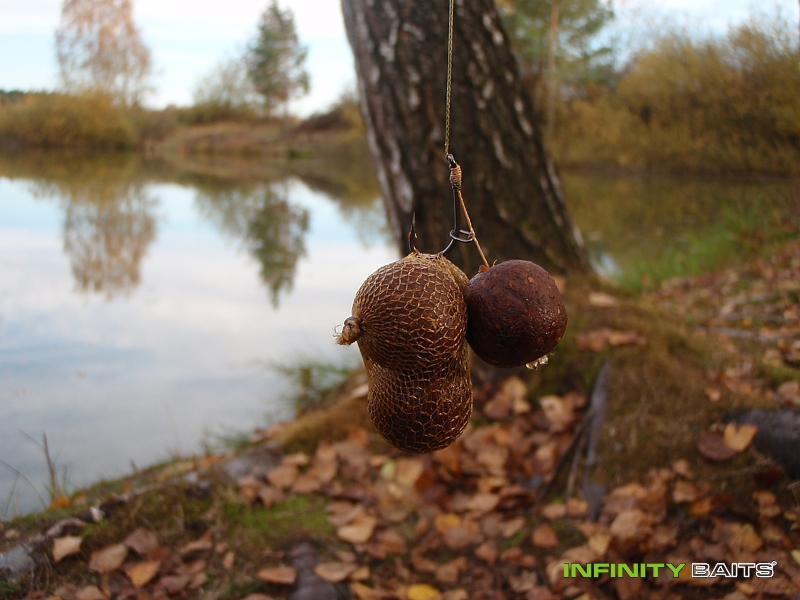 report Už tuhne Infinity Baits