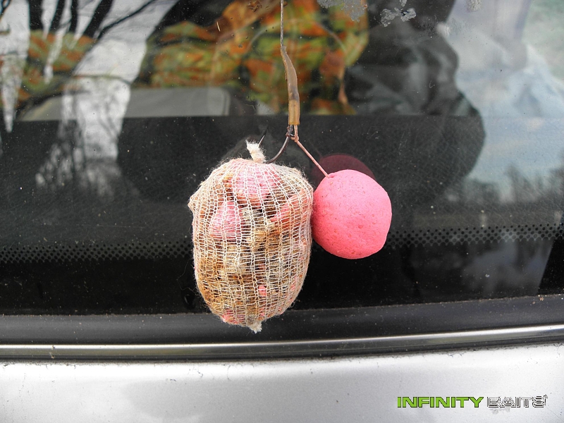 report První kapr sezony Infinity Baits