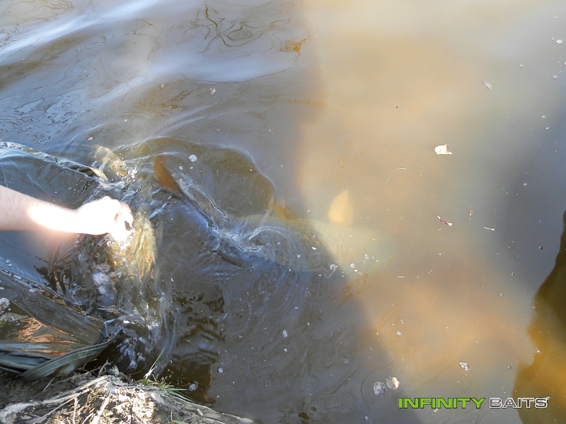 report Velikonoční rybaření Infinity Baits