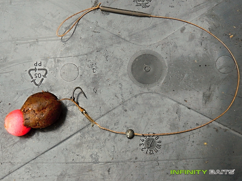 report Další pěkný šupináč Infinity Baits