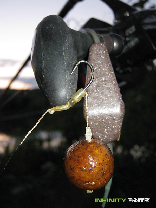 report Každý den není posvícení Infinity Baits