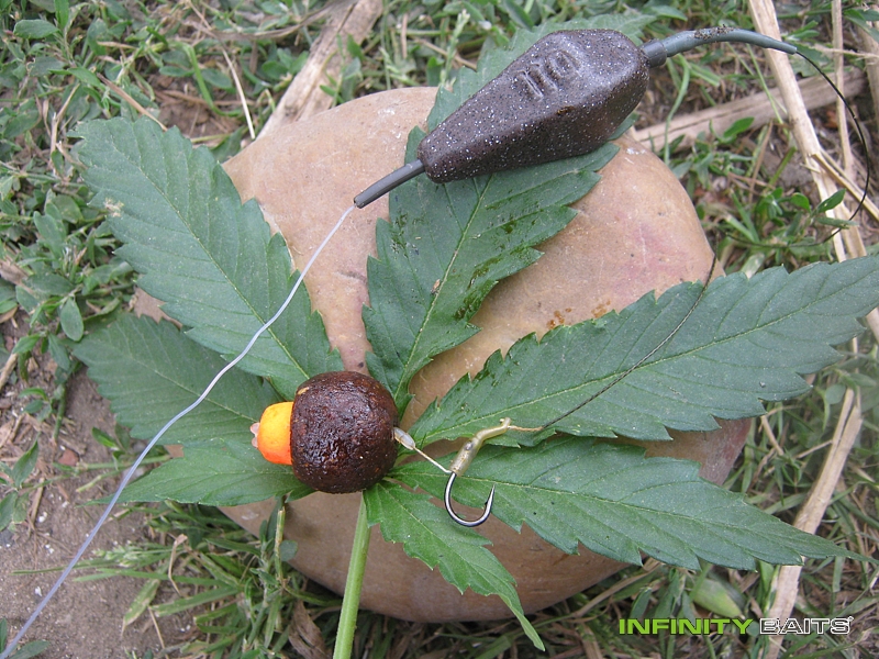 report Každý den není posvícení Infinity Baits