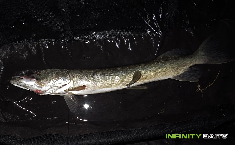 report Noc a den na pískovně Infinity Baits