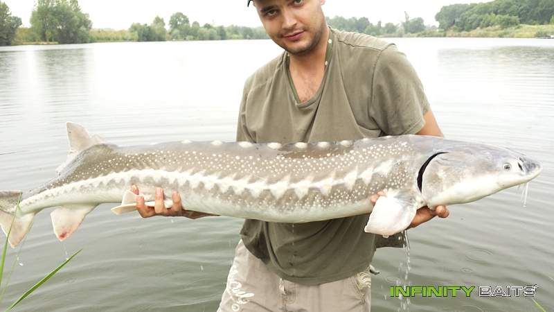 report Jezero Kopa Infinity Baits