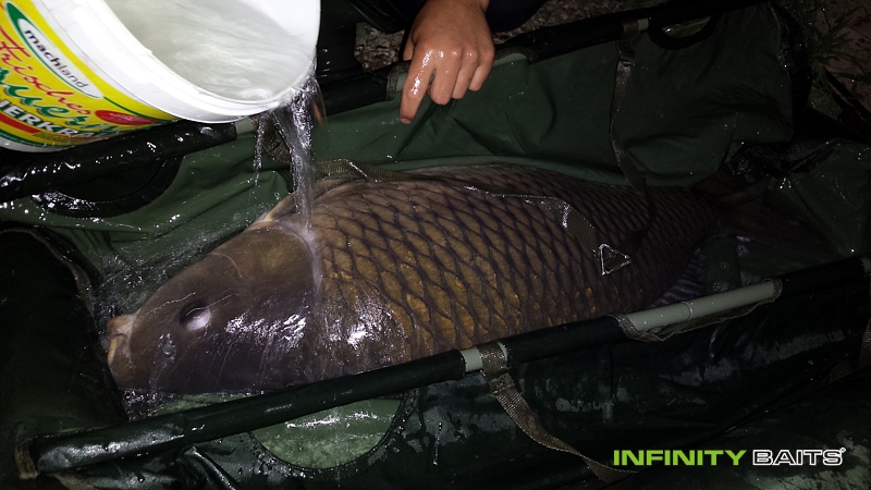report Jezero Kopa Infinity Baits