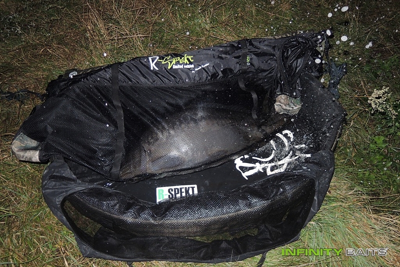 report Pan Šedivec Infinity Baits